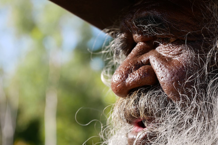A close-up portrait of an Indigenous man with a bushy beard.