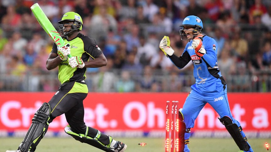 Alex Carey (R) of the Adelaide Strikers celebrates dismissal of Sydney Thunder's Carlos Brathwaite.