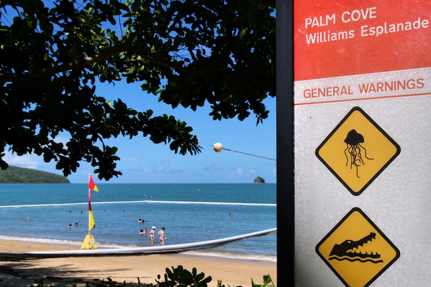 Photo of sign at Palm Cove Beach warning of marine stingers and crocodiles with stinger enclosure in background