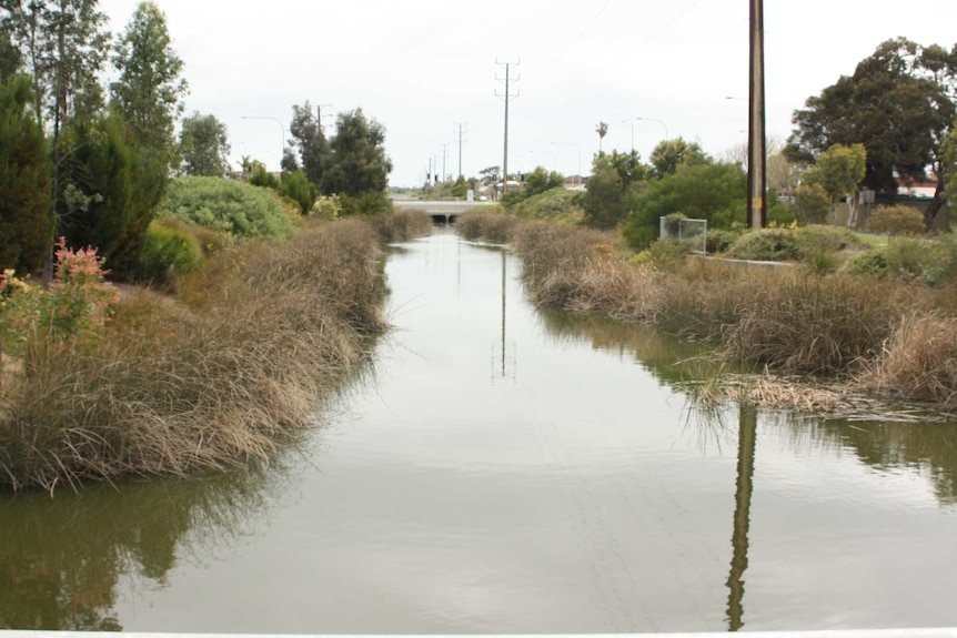 Wetlands in the middle of Old Port Road