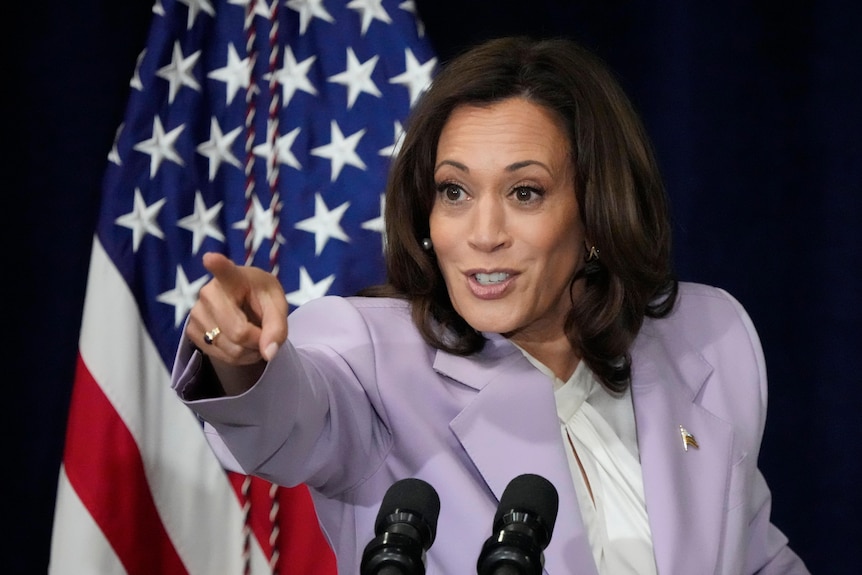 Kamala Harris, wearing a lavender suit, points while standing in front of a US flag and speaking into microphones