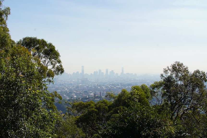 Smoky city seen through trees.