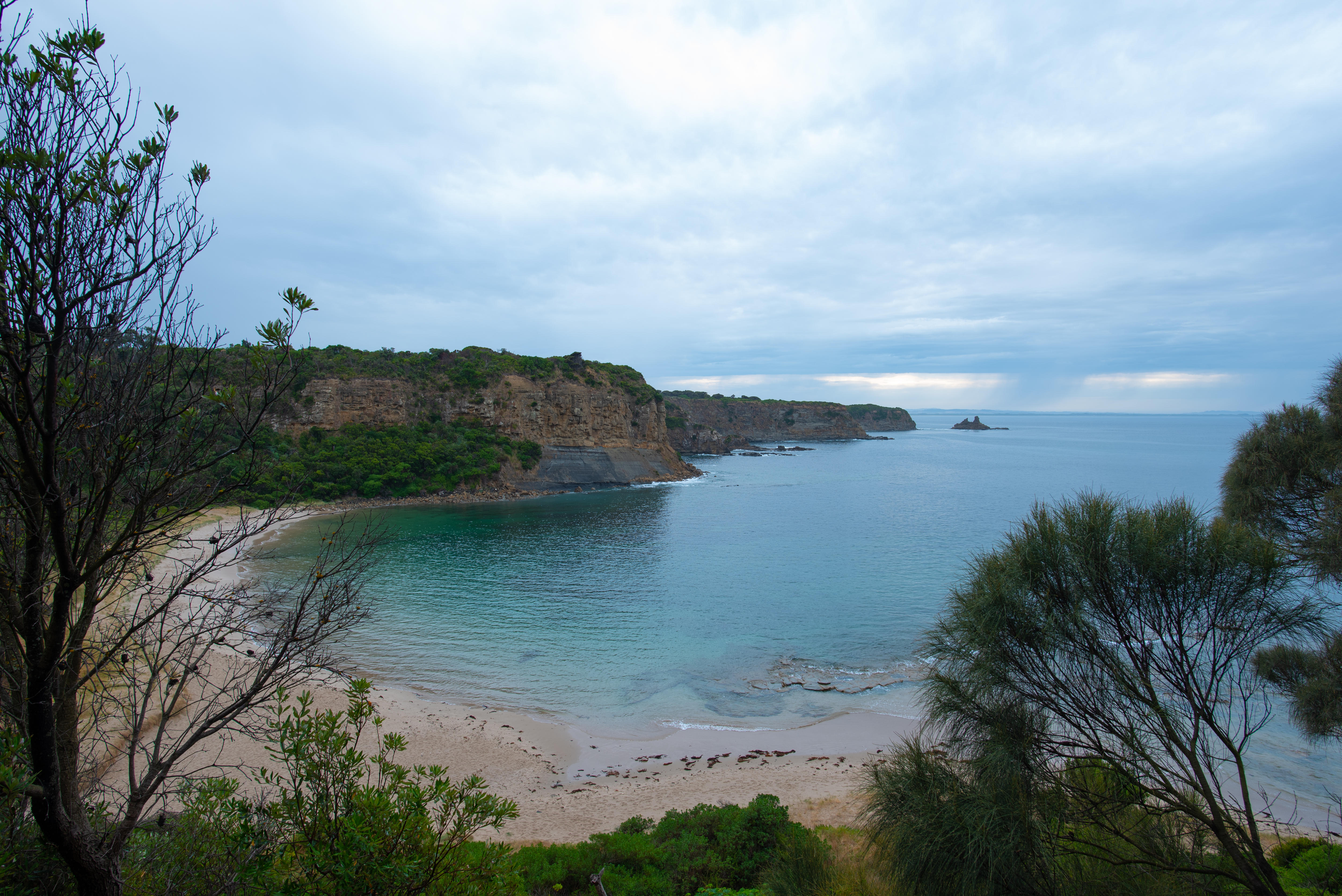 Una toma de paisaje de una bahía y una playa de arena enmarcada por árboles de color verde oscuro. Cielo nublado.