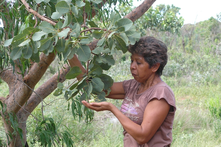 A woman holds fruit in her palm beside a tree