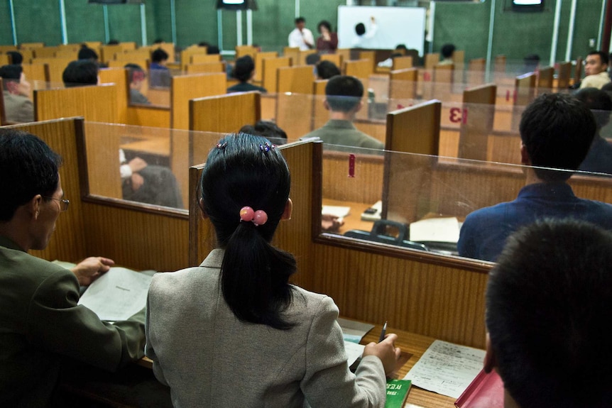 Rows of brown-wood dividers are seen from above in a dimly-lit North Korean library with green dividing walls.