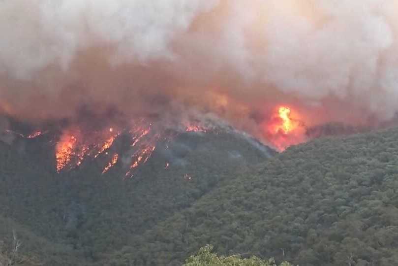An aerial view of fire burning in a forested area.