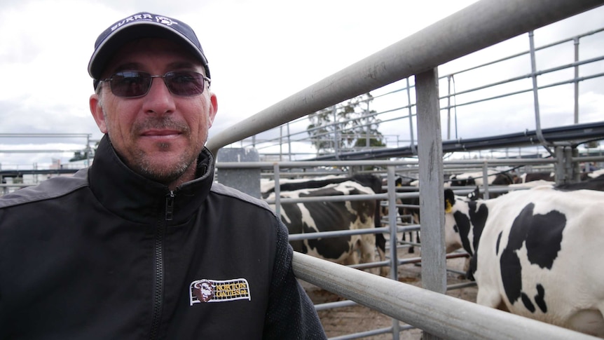 Farmer Brad Missen standing next to cows at Sale saleyard