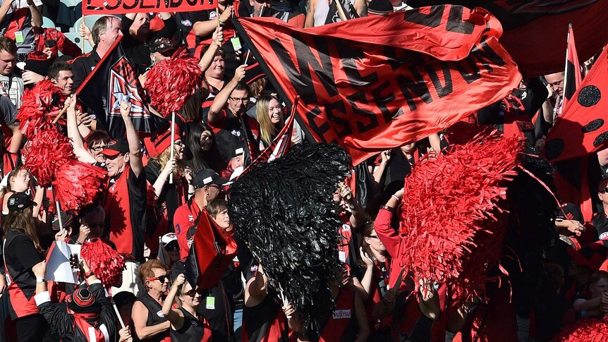Essendon Bombers fans wave flags,