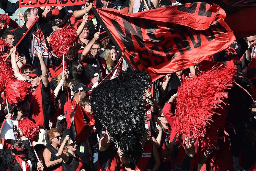 Essendon Bombers fans wave flags,