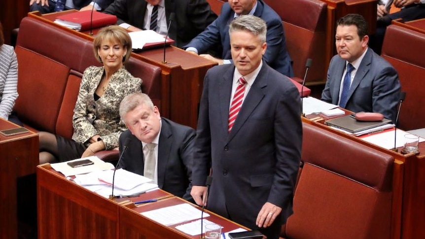 Mathias Cormann speaks in the Senate.