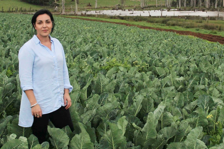 Emma Germano stands in a cauliflower crop on her Gippsland farm.
