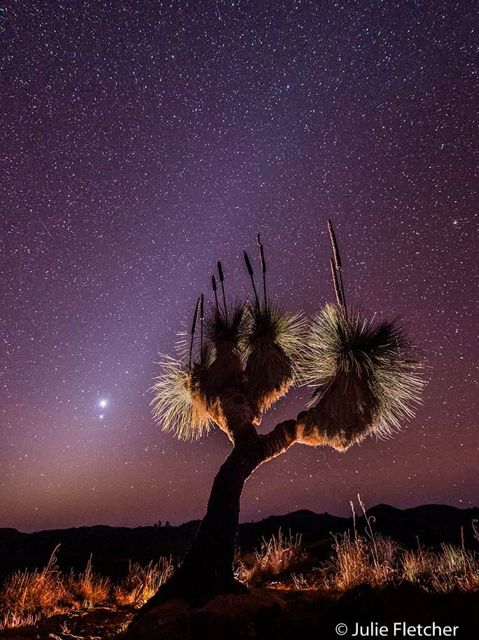 Julie Fletcher's Aligning Planets photo.