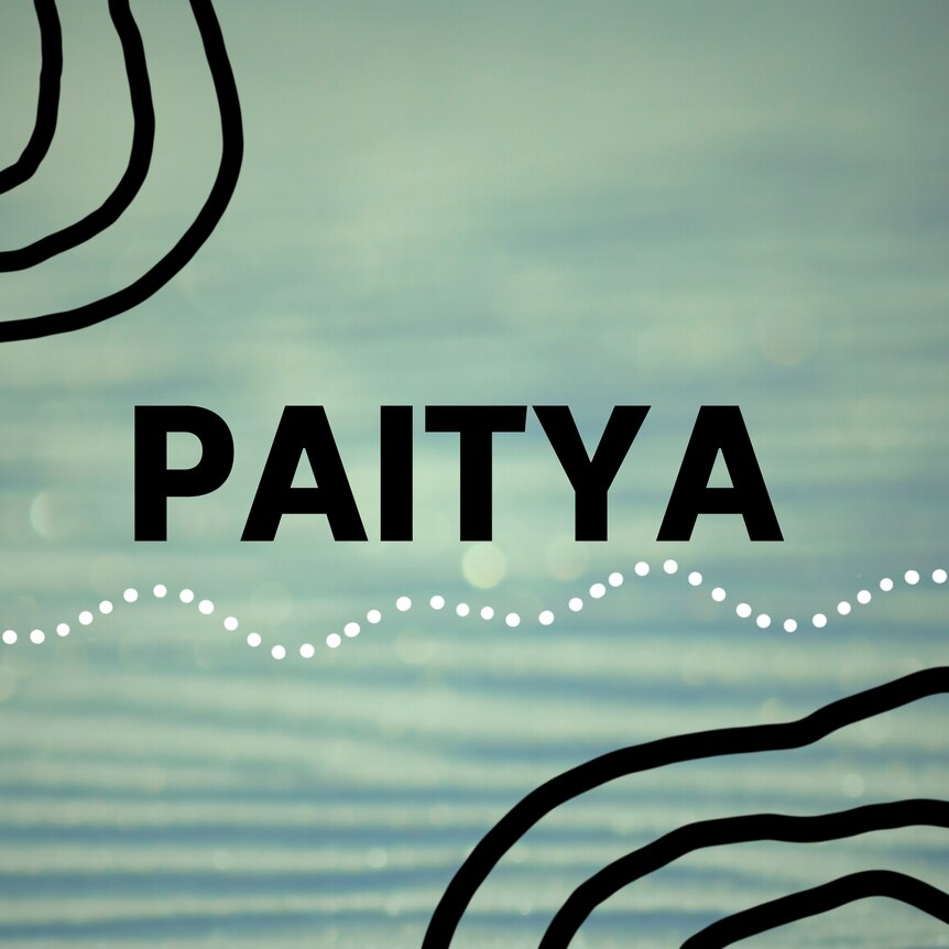 Image of a grey/green gradient background with the word PAITYA written in black letters