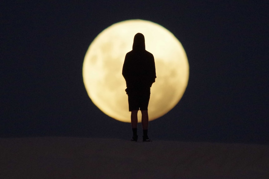 A man stands on the horizon, completely silhouetted by the moon, in sand dunes in Lancelin. January 31, 2018.