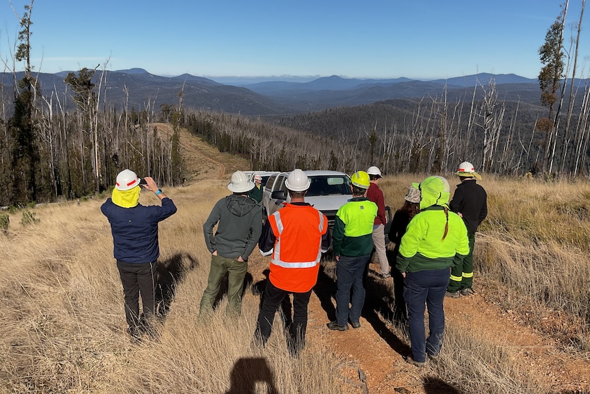 a group of people wearing high vis look over a landscape
