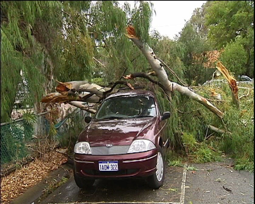 Storm leaves damage trail in WA - ABC News