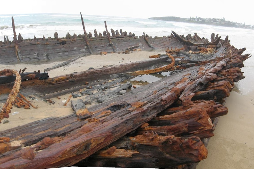 A shot of the gnarled, sea-worn hull of Buster, a historic shipwreck on the Mid North Coast.