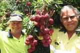 Tibby Dixon and Brian Camilleri stand side by side in yellow shirts, holding a branch of red lychees between them.