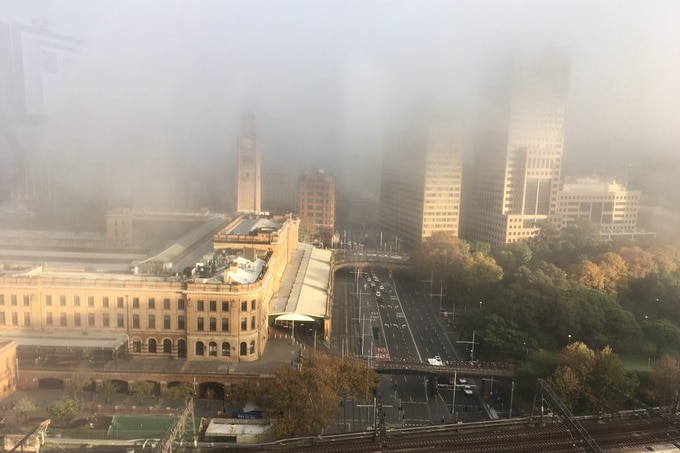 Fog surrounds city buildings.