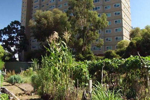 Garden pictured outside a housing commission building in Melbourne
