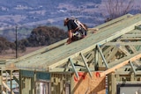 A construction worker sits atop a house frame.