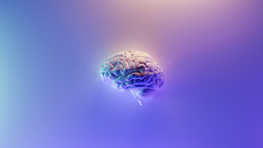 An illustrated brain on a blue background