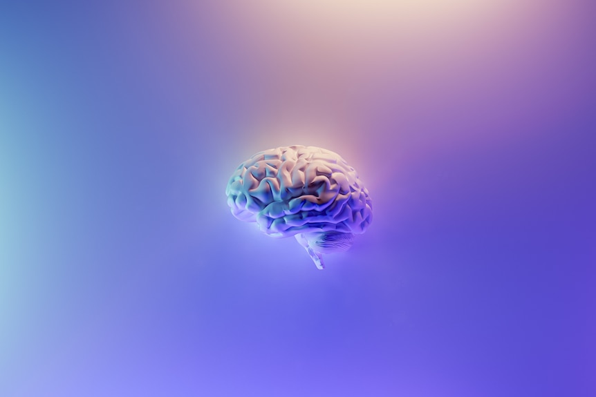 An illustrated brain on a blue background