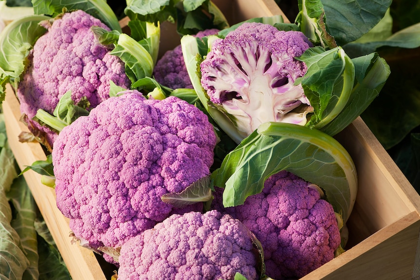A box of purple cauliflowers