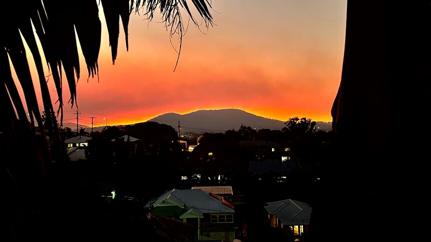 Smoky sunset from Paddington with palm and Queensland houses dark in foreground and orange sky above mountain in middle distance