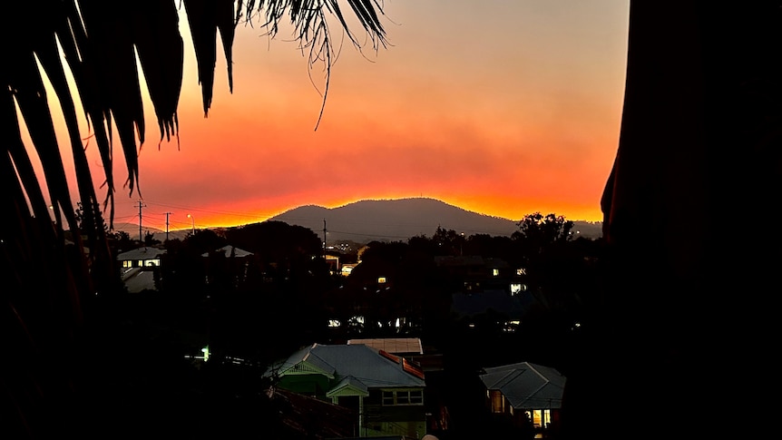 Smoky sunset from Paddington with palm and Queensland houses dark in foreground and orange sky above mountain in middle distance