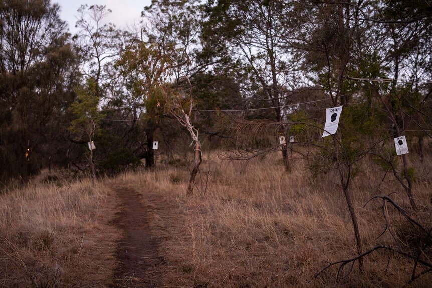 Bushland, twilight: A4 posters (tied to branches) read Missing or Dead and feature silhouette head of young Aboriginal child.