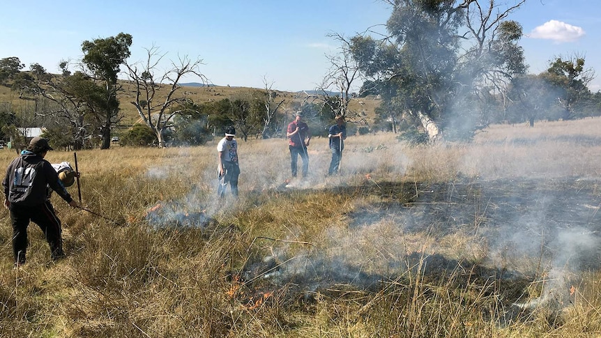 Landcare field day participants burning a small patch using Aboriginal cool-burning techniques.