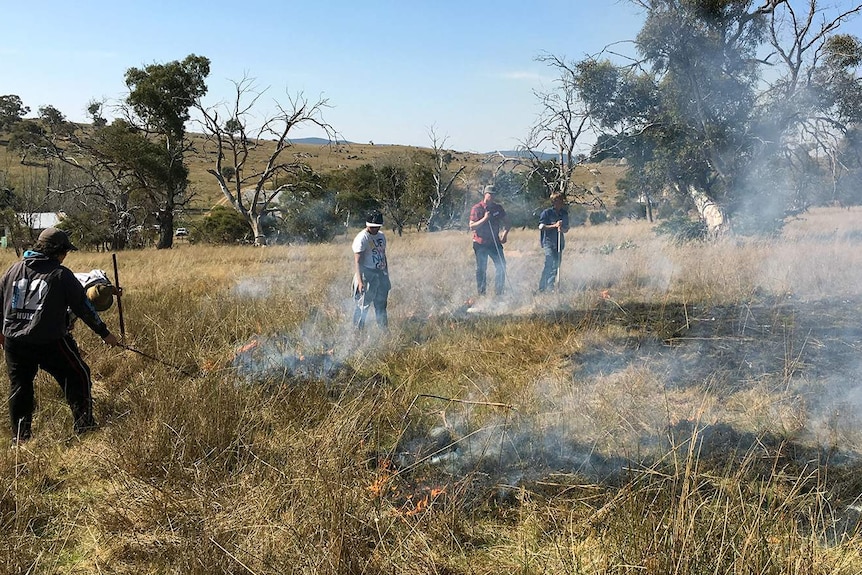 Landcare field day participants burning a small patch using Aboriginal cool-burning techniques.