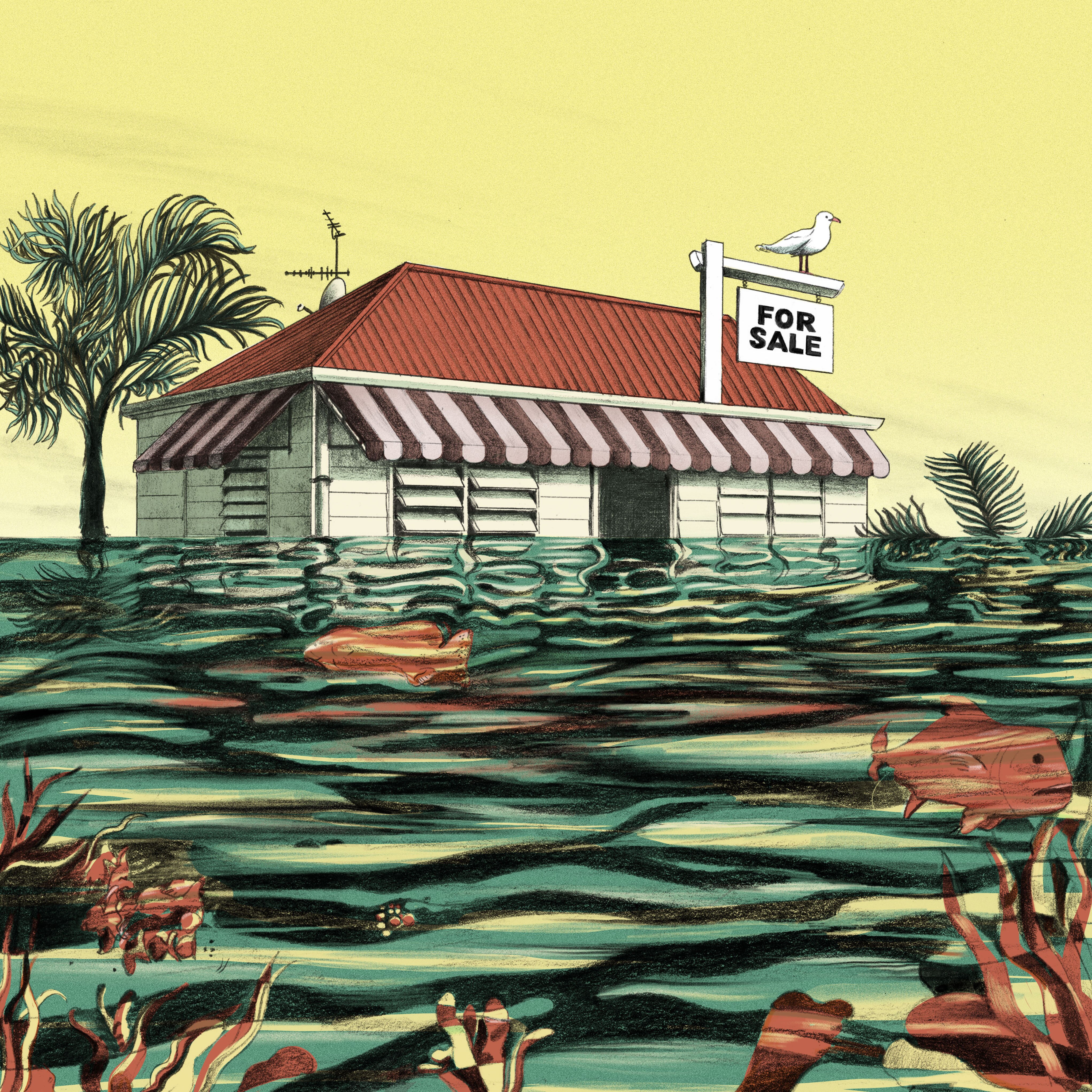 An illustration of a house surrounded by water and fish.