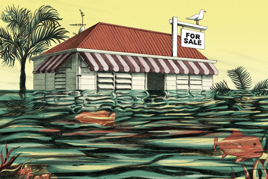 An illustration of a house surrounded by water and fish.