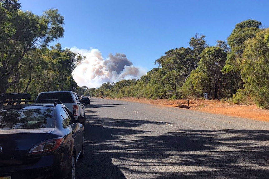 Cars queue on the side of the Bussell Highway with a plume of smoke in the background.