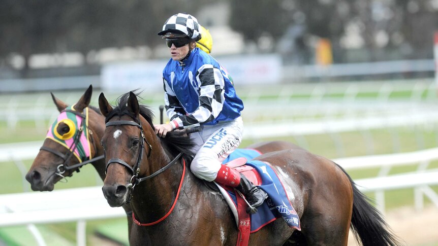 Protectionist (pictured) won the Melbourne Cup, surging ahead of runner-up Red Cadeaux on the final straight. (File photo)