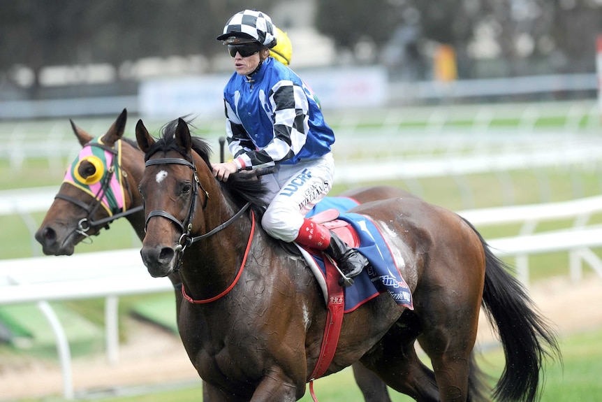 Protectionist (pictured) won the Melbourne Cup, surging ahead of runner-up Red Cadeaux on the final straight. (File photo)