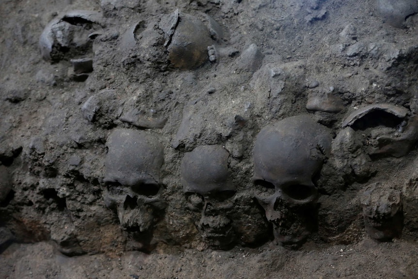 Skulls embedded in stone and partially covered by dirt.
