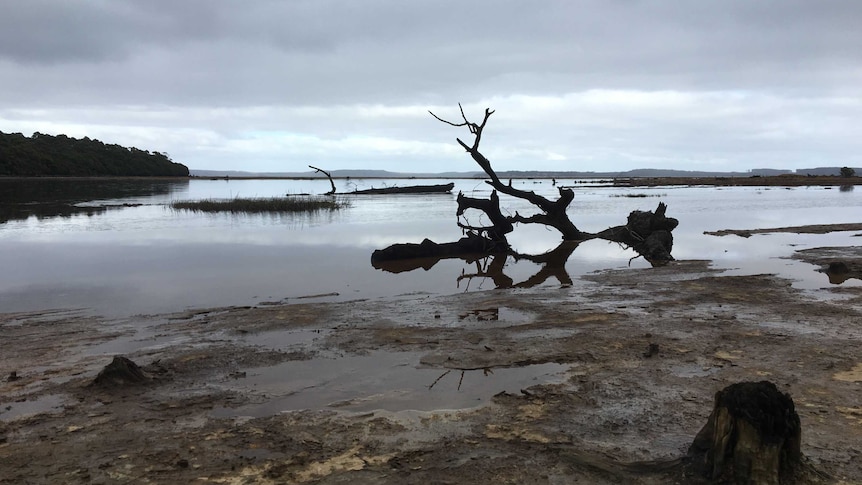 The highly polluted King River, in southwest Tasmania.