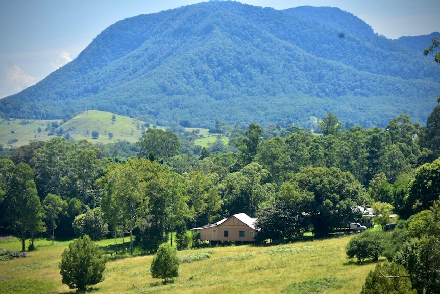 The Northern Rivers region is surrounded by dense farmland.