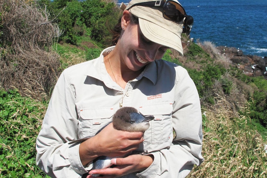 Woman holds baby penguin