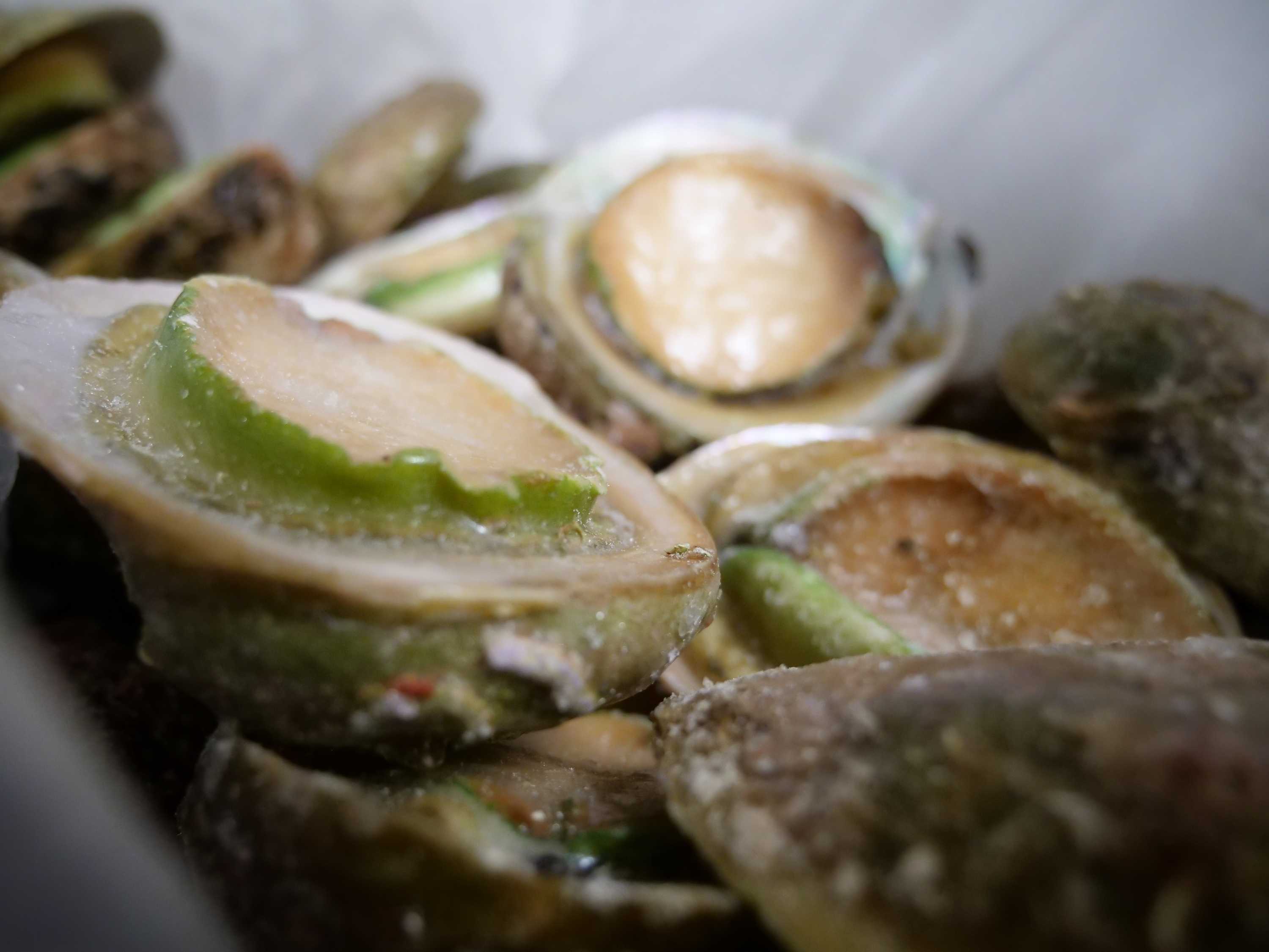 Closeup of Greenlip Abalone in a freezer box.