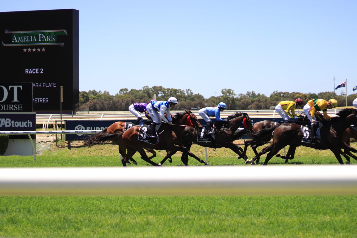 Protesters Call For End To Racing At Perth Cup Rerun Two Weeks On From ...