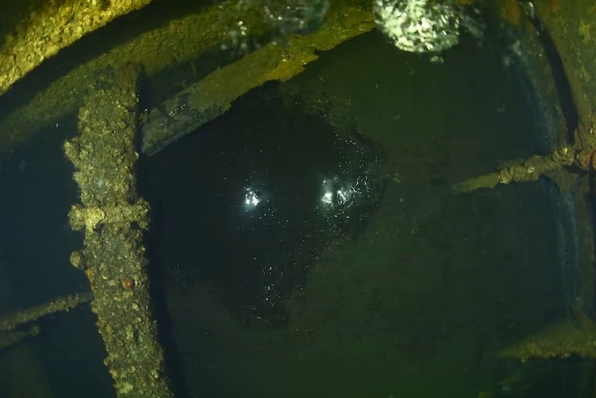 A still from a video showing an underwater pocket of oil.