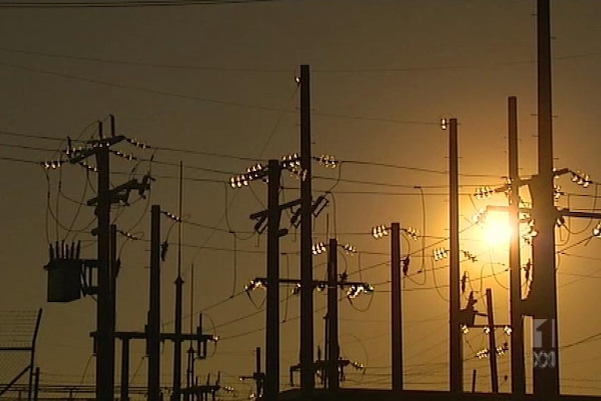 power lines and power poles in front of a sunset