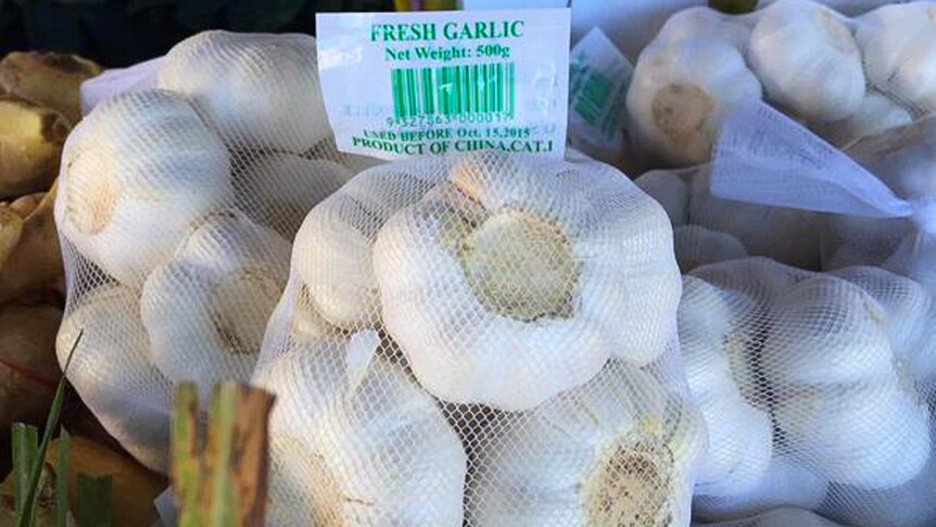 A bunch of fresh garlic from China.