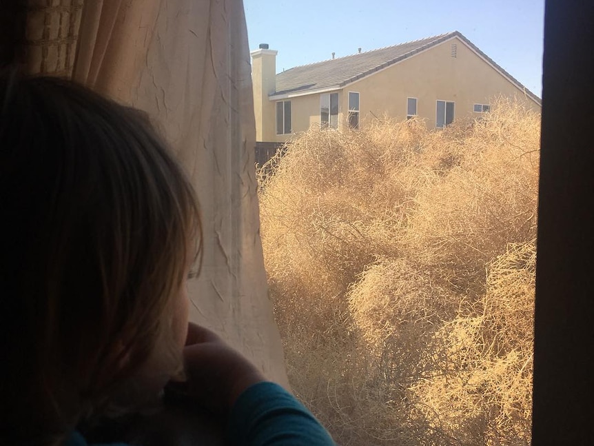 Victorville resident Nancy Martinez-Brown posted on Instagram that she could not see her jungle gym underneath the tumbleweed.