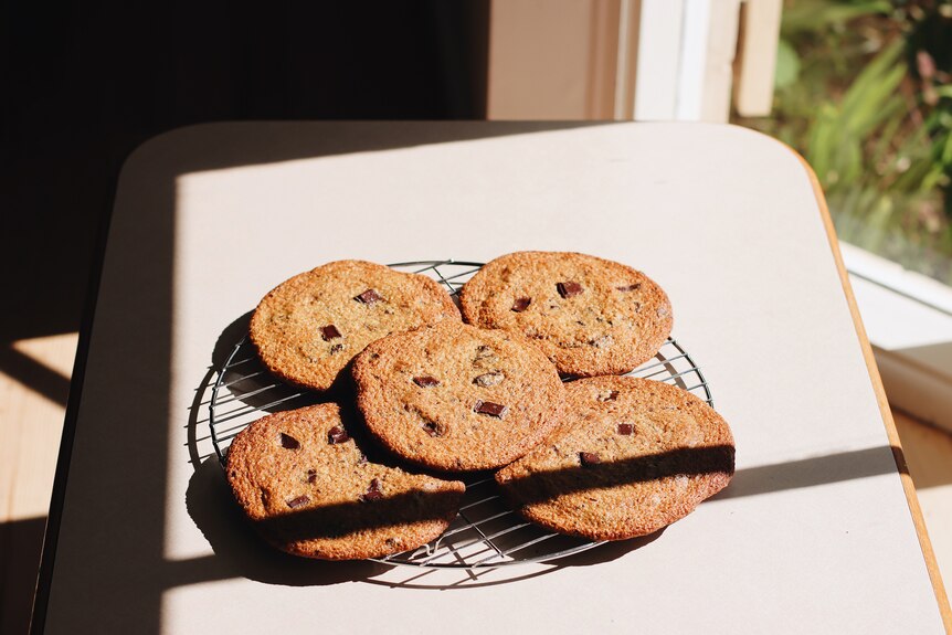 Five giant chocolate chip chunk cookies cooling on a wire rack, a fun baking project.