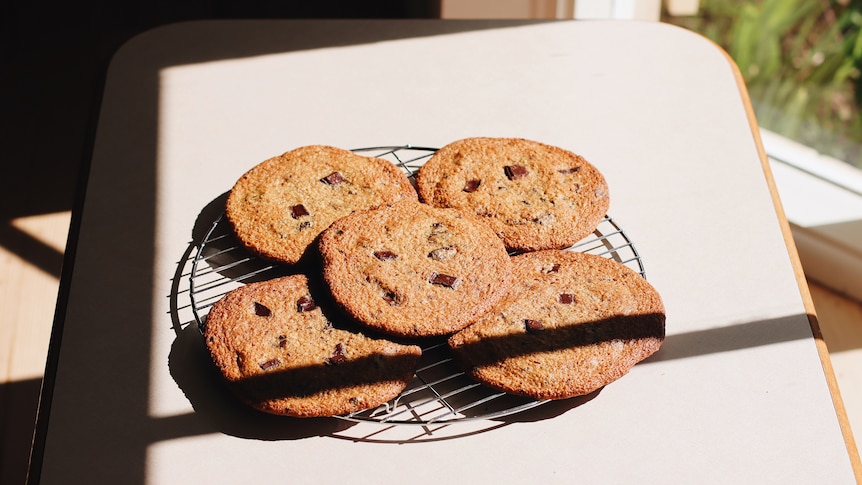 Five giant chocolate chip chunk cookies cooling on a wire rack, a fun baking project.